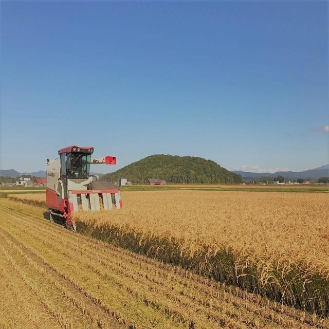 この一粒に、大地の恵みを。